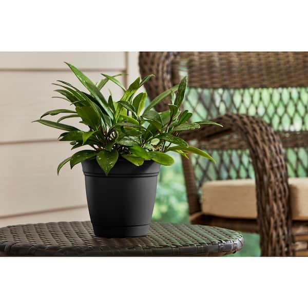 wide plant pot Bibendum Large Planter by Campania International Aged Limestone