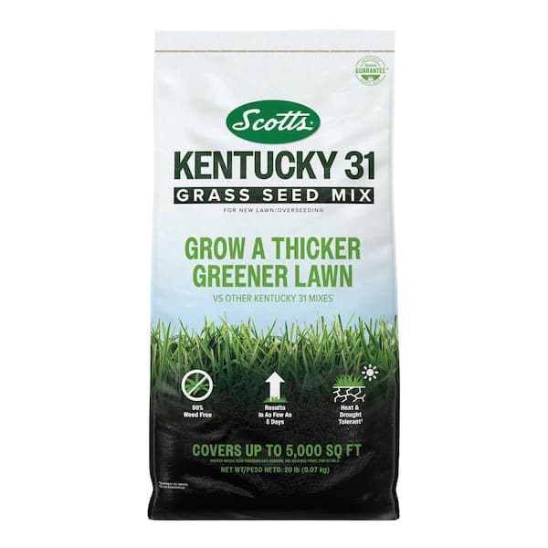 Kentucky 31 Grass Seed Mix 20 lbs. For New Lawns or Overseeding