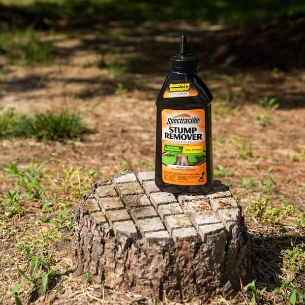 Tree Root Killer Home Depot