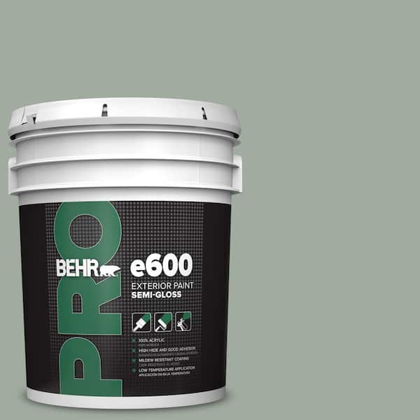 5 gal. #PPU11-15 Green Balsam Semi-Gloss Exterior Paint