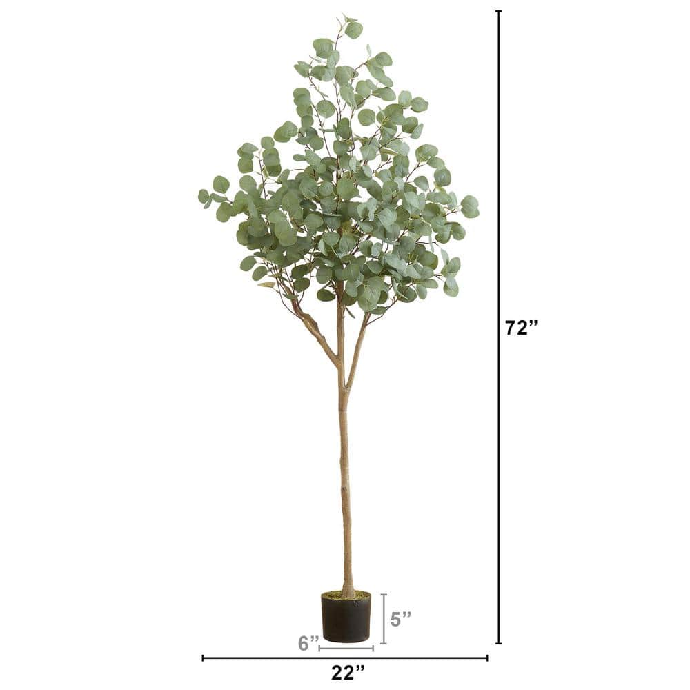 6-Foot Artificial Eucalyptus Tree in Black Plastic Pot