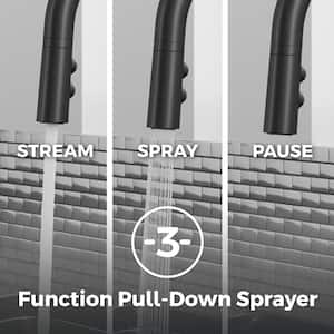 Zanna Single Handle Pull Down Sprayer Kitchen Faucet with Deckplate and Soap Dispenser in Matte Black