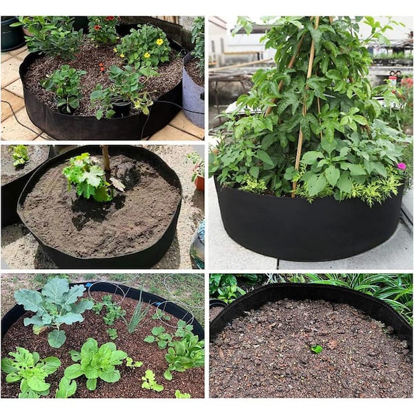 My Favorite Grow Bags for Growing Massive Tomato Plants – Garden Betty