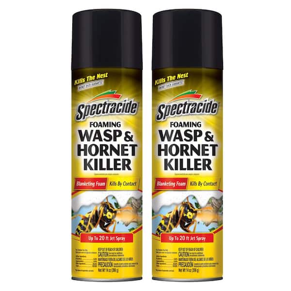 14 oz. Foaming Wasp and Hornet Insect Killer Aerosol Spray (2-Pack)