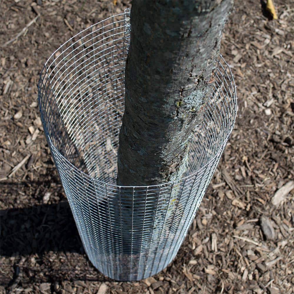 Green PVC Coated Galvanized Steel Hardware Cloth 3ft x 5ft