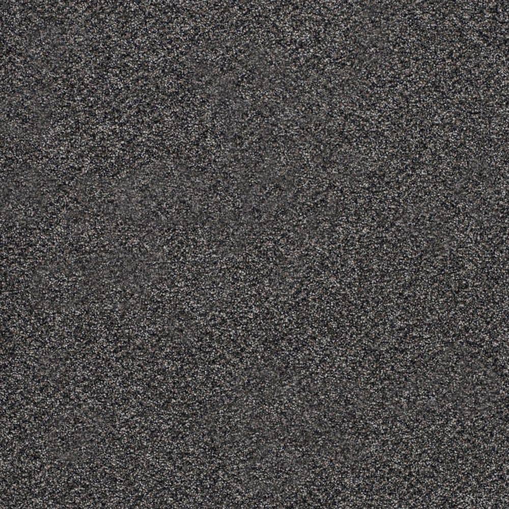 8 in. x 8 in. Texture Carpet Sample-Cinderella Soft I-Color Delightful price history on PriceWatchPro