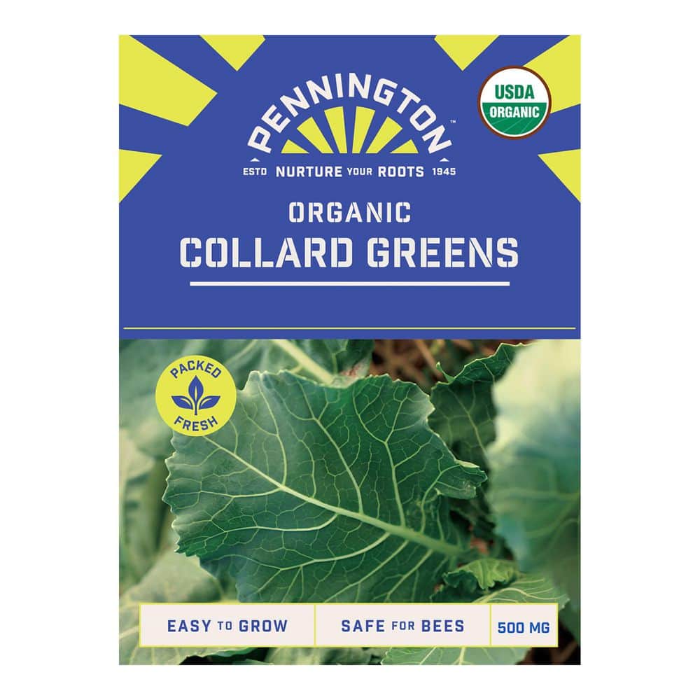 葉っぱ デラロッチャ OC 5株 pennington-organic-vegetable-