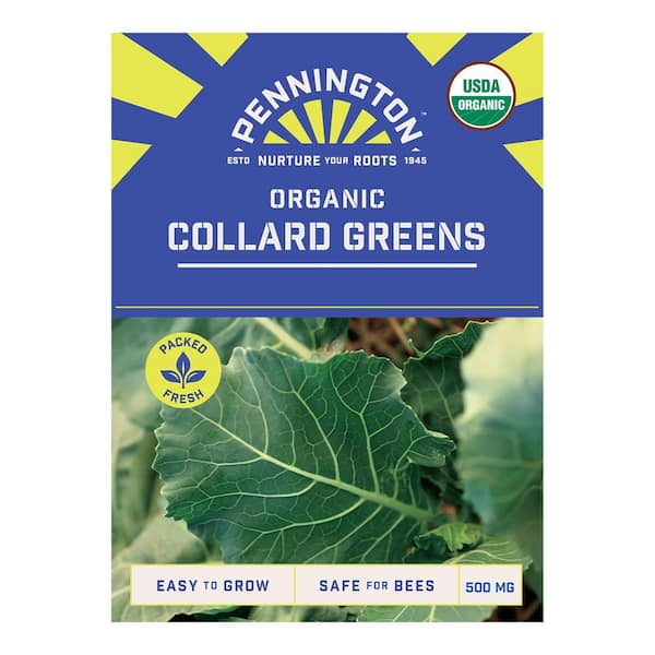 Organic Georgia Southern Collards Vegetable Seeds