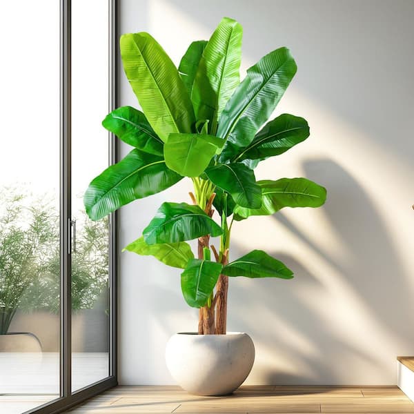 eucalyptus plant indoor for sale Potted Eucalyptus Tree