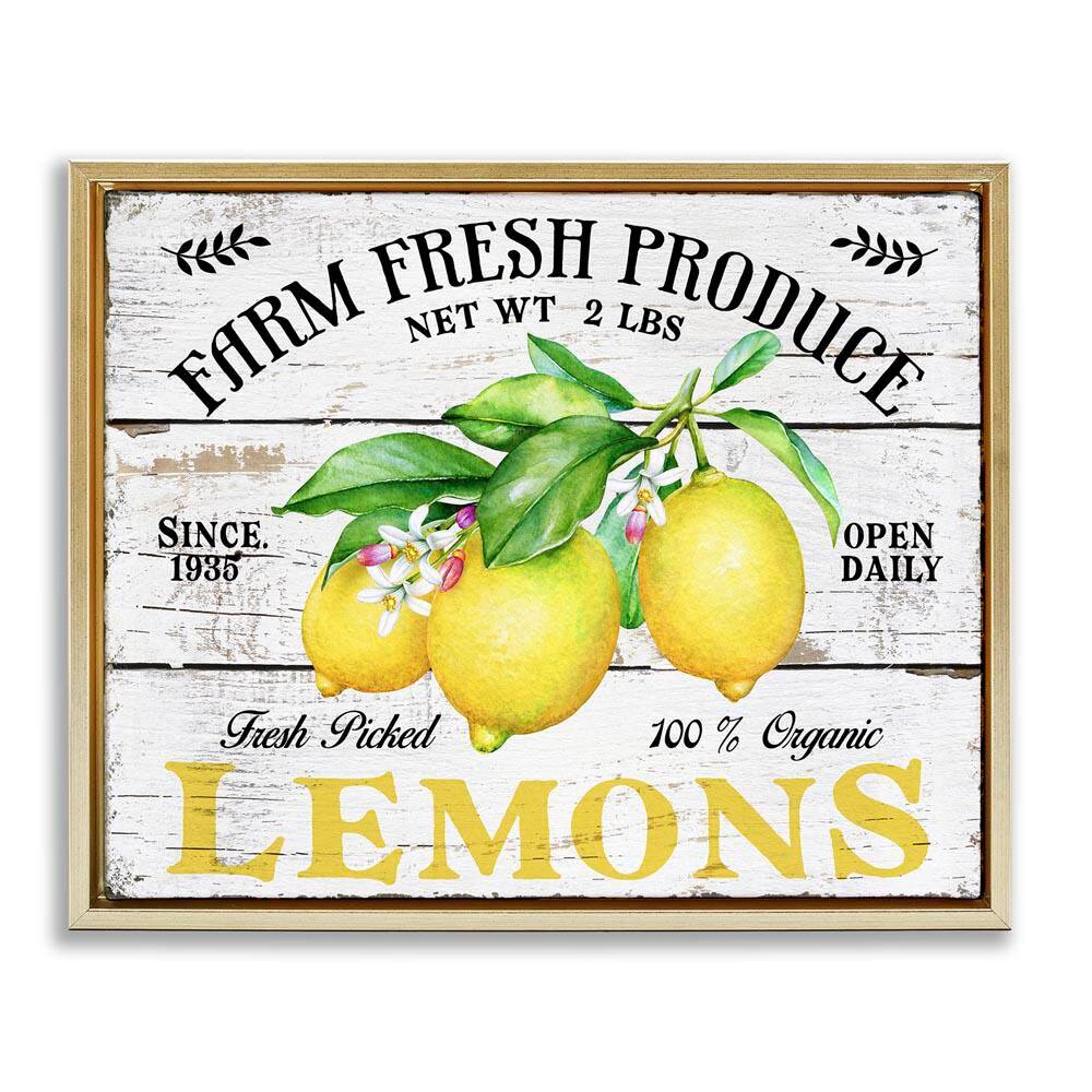Farm Fresh Produce Lemons by Creatif Belle Gold Floater Frame Food Graphic Art Print 25 in. x 31 in. price history on PriceWatchPro