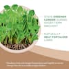 scotts-grass-seed-18013-1-a0.3