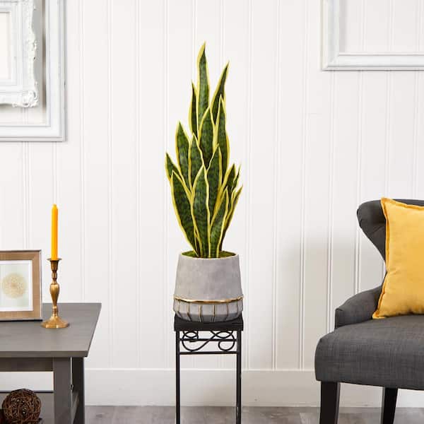Nearly Natural 34 in. Sansevieria Artificial Plant in Stoneware Planter with Gold Trimming