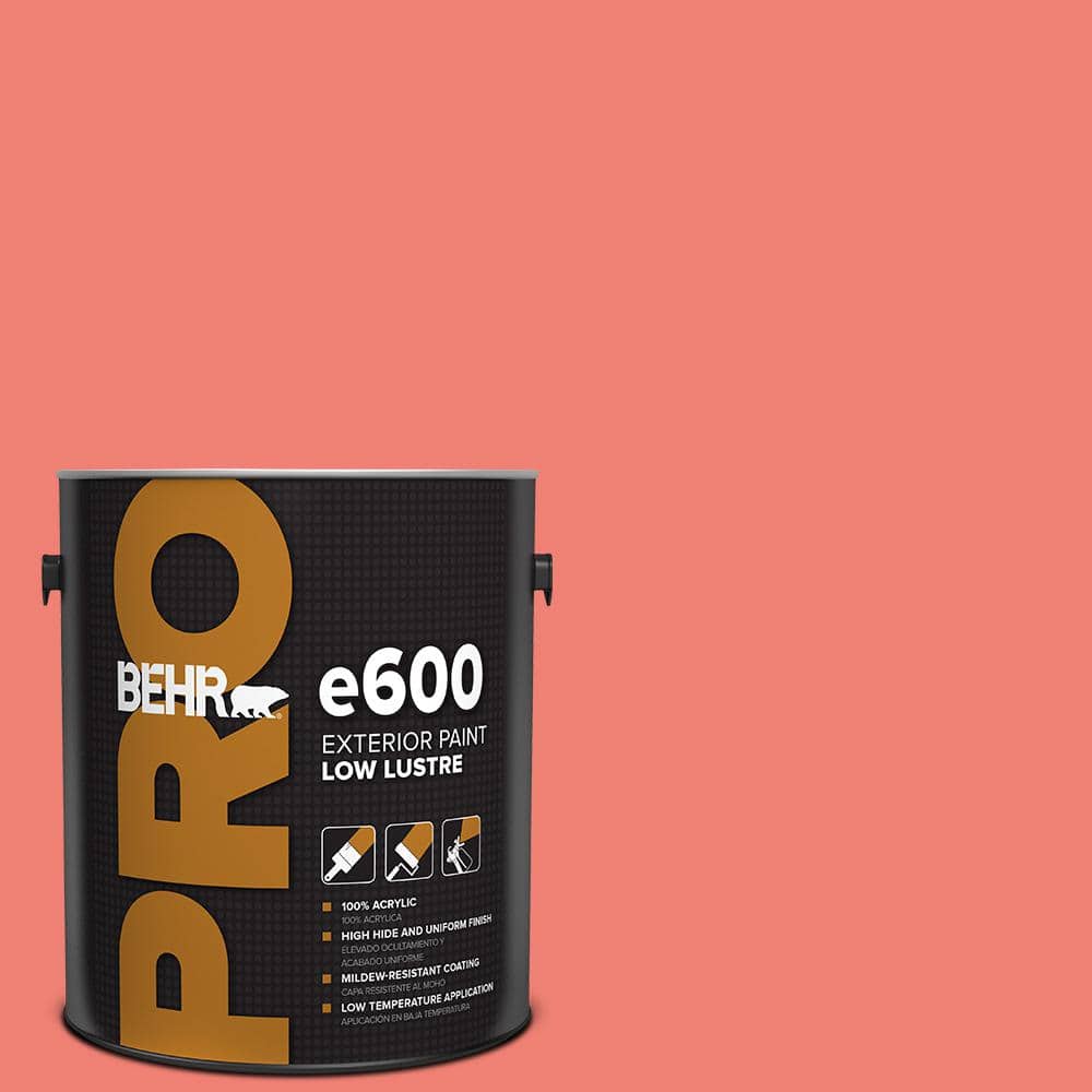 1 gal. #170B-5 Youthful Coral Low Luster Exterior Paint product image for price tracking