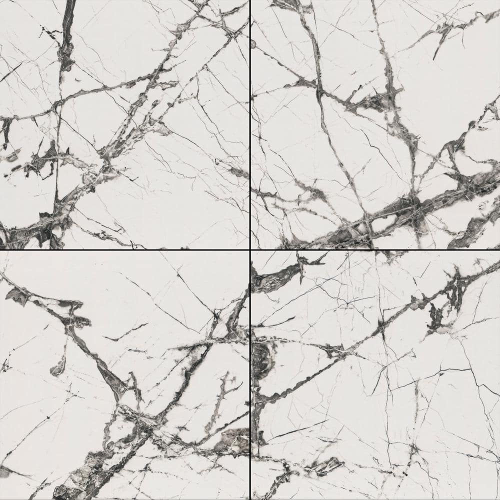 Andrassy 48 in. x 48 in. Polished Porcelain Marble Look Floor and Wall Tile (15.50 sq. ft./Case) price history on PriceWatchPro