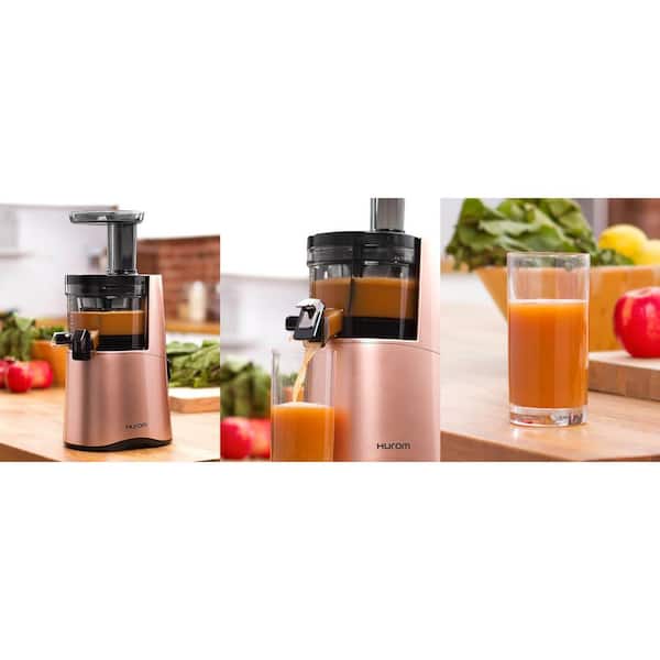 Free Slow Jucier with Ice Cream Maker Function. Masticating Juicer,  Reverse, Rose Gold - Rose Gold