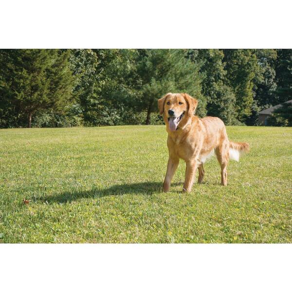 2 acre wireless dog fence