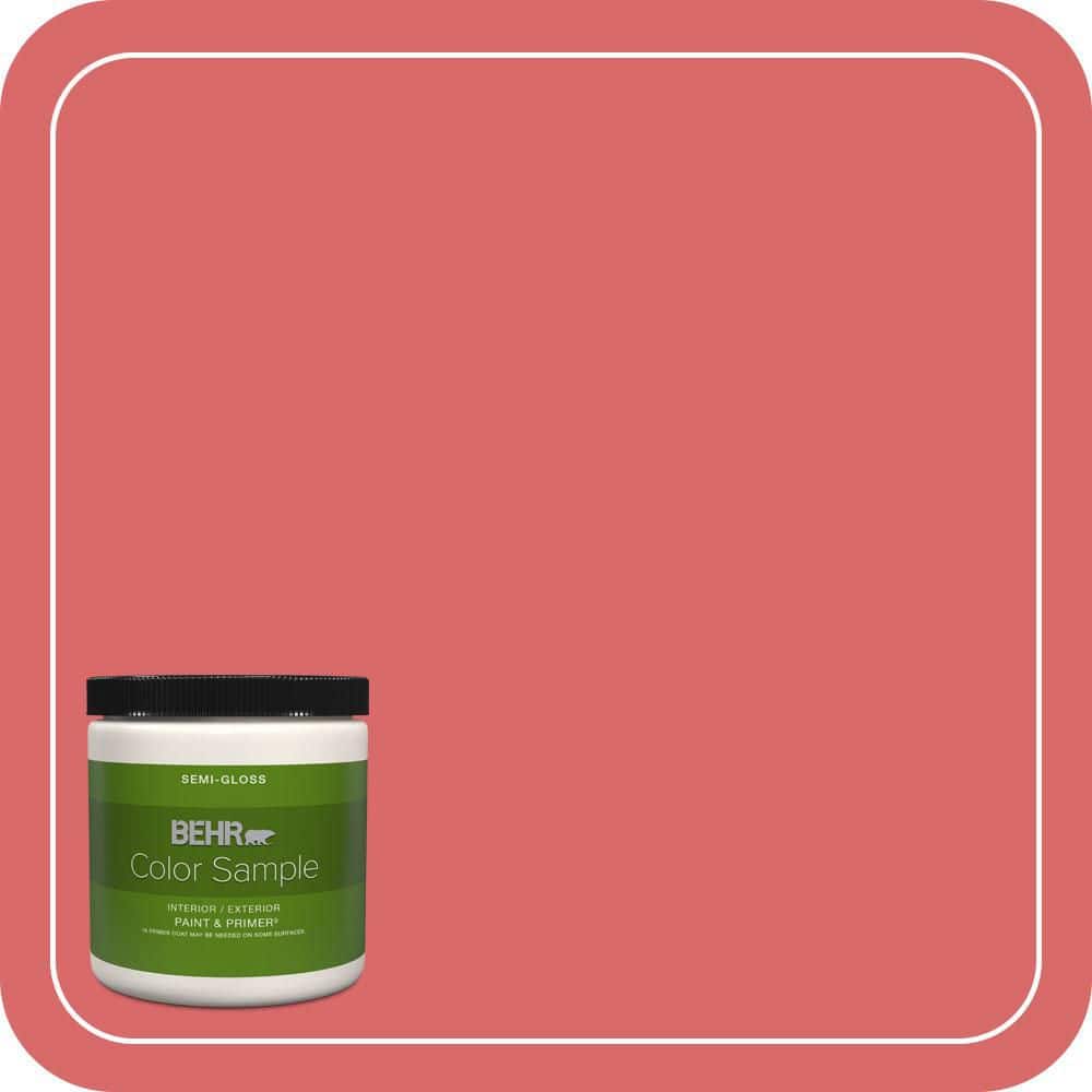 8 oz. #160B-6 Coral Expression Semi-Gloss Interior/Exterior Paint & Primer Color Sample price history on PriceWatchPro