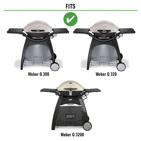 Weber q deals 3000