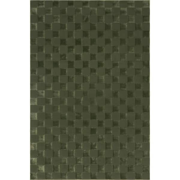 4 ft. x 6 ft. Green Cape May Plush Textured Washable Indoor Area Rug