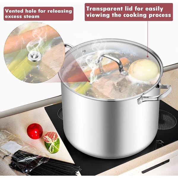 20 qt. Stainless Steel Nonstick Stock Pot in Silver with Glass Lid