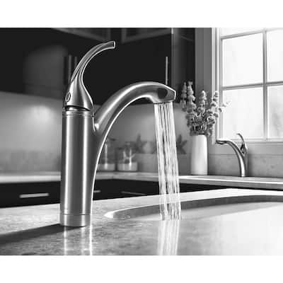 Forte Single-Handle Pull-Out Sprayer Kitchen Faucet with MasterClean Spray Face in Vibrant Brushed Nickel