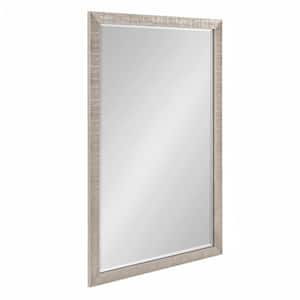 Reyna 24.00 in. W x 36.00 in. H Silver Rectangle Modern Framed Decorative Wall Mirror