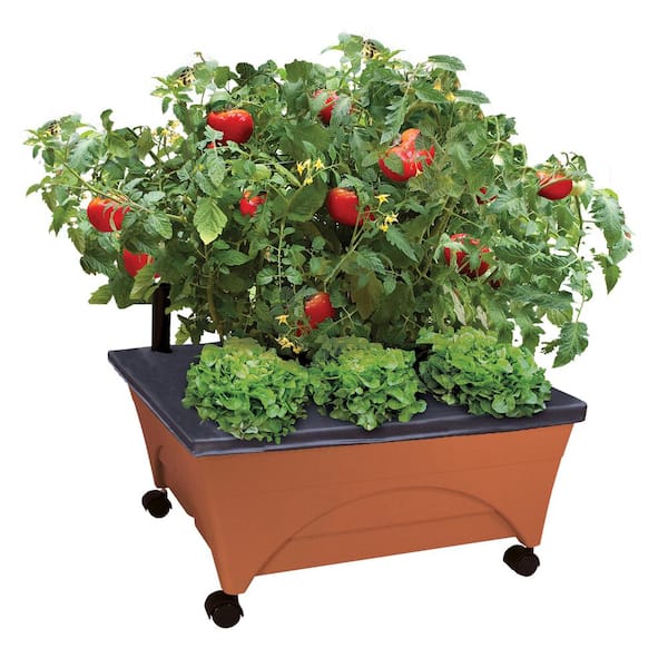 CITY PICKERS - 24.5 in. x 20.5 in. Patio Raised Garden Bed Grow Box Kit with Watering System and Casters in Terra Cotta