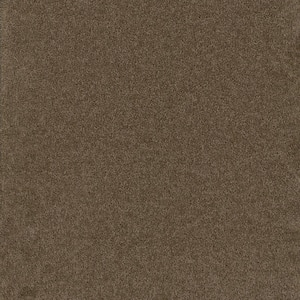 Added Value - Captivate - Brown 24 oz. SD Polyester Texture Installed Carpet