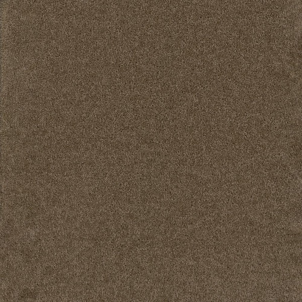 TrafficMaster Added Value - Captivate - Brown 24 oz. SD Polyester Texture Installed Carpet