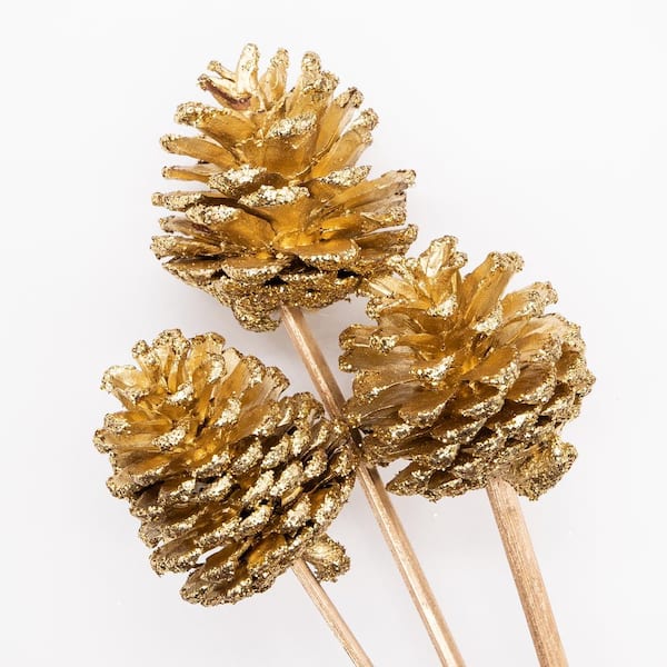Bindle & Brass Gold Sparkle Dried Natural Pine Cones (2-Pack) BB35