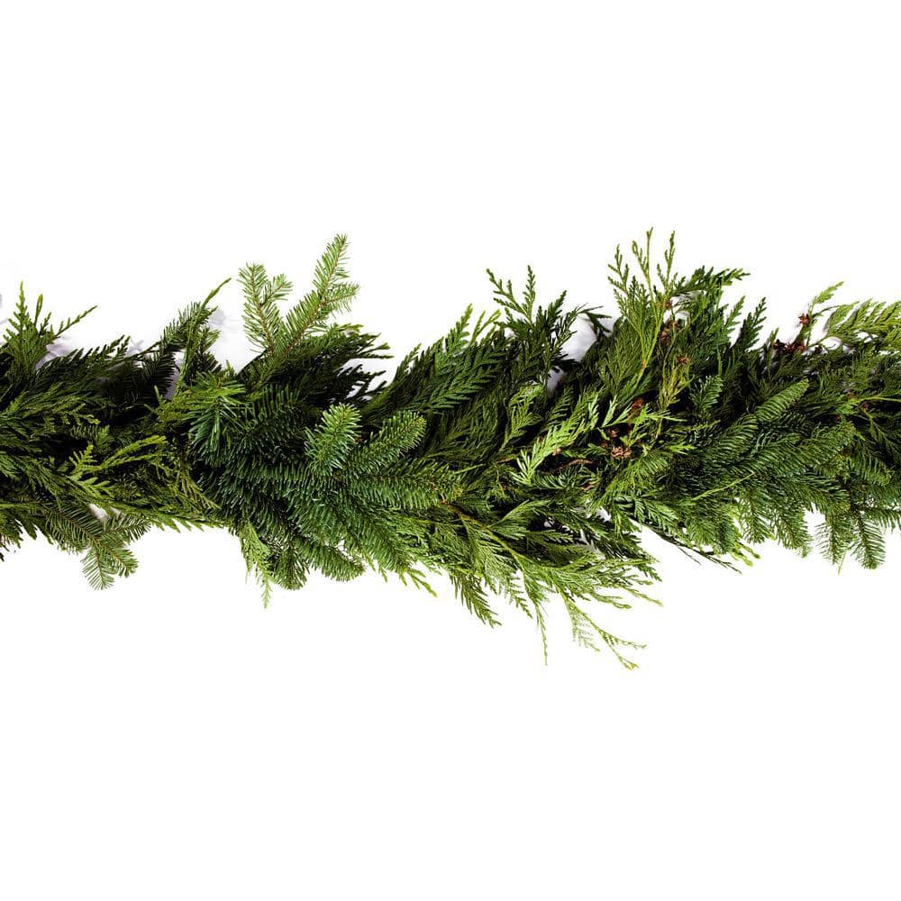 METROLINA GREENHOUSES 15 ft. Fresh Cut Holiday Garland 1005909538 The