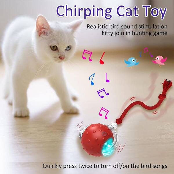 Interactive Cat Toys Ball For Indoor, 2024 New Automatic