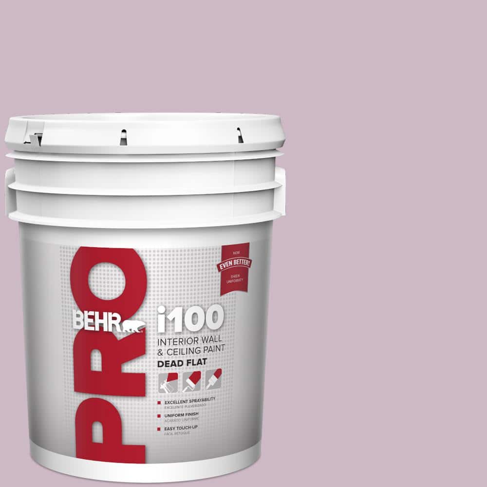 5 gal. #S110-3 Queens Violet Dead Flat Interior Paint price history on PriceWatchPro