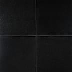 Absolute Black 12 in. x 12 in. Polished Granite Stone Look Floor and Wall Tile (10 sq. ft./Case)