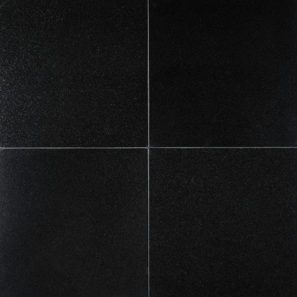 MSI Absolute Black 12 in. x 12 in. Polished Granite Floor and Wall Tile (10 sq. ft. / case)