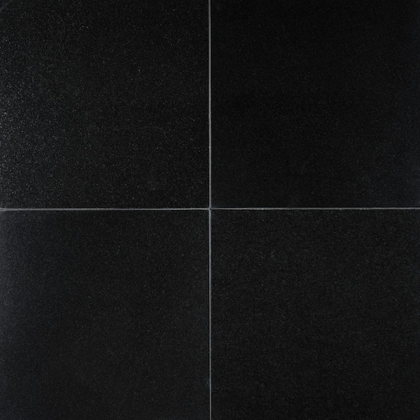 MSI Absolute Black 12 in. x 12 in. Polished Granite Floor and Wall Tile (10 sq. ft./Case)