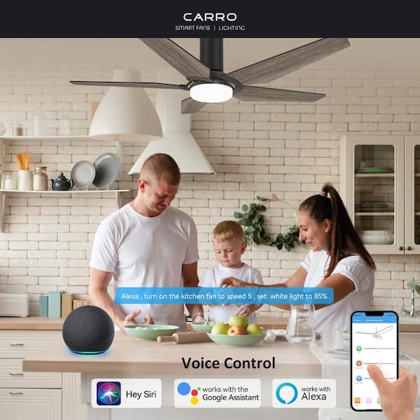 Voyager 52 in. Dimmable LED Indoor/Outdoor Black Smart Ceiling Fan with Light and Remote, Works with Alexa/Google Home