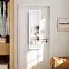 White wall mirror and jewelry cabinet on a door.