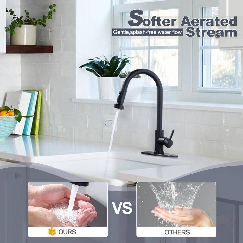 Matte Black Stainless Steel Pull-Down Kitchen Faucet with Spray