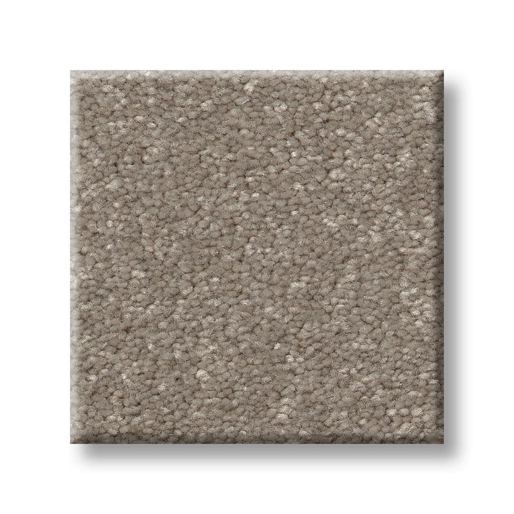 8 in. x 8 in. Texture Carpet Sample - Blakely I -Color Bartlett price history on PriceWatchPro