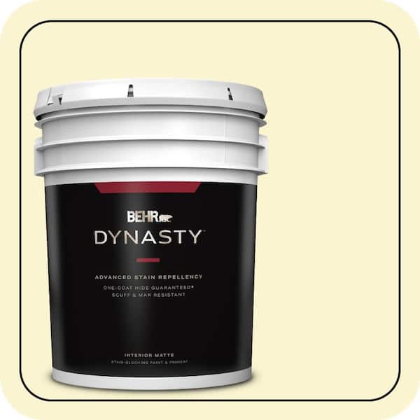 BEHR DYNASTY 5 gal. #P310-1 Effervescent Matte Interior Stain-Blocking Paint & Primer