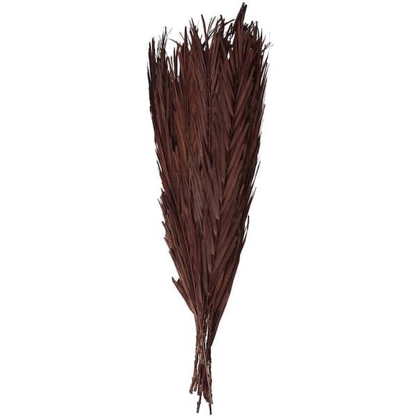 Litton Lane 43 in. Palm Leaf Natural Foliage with Feather Inspired Stems (1 Bundle)