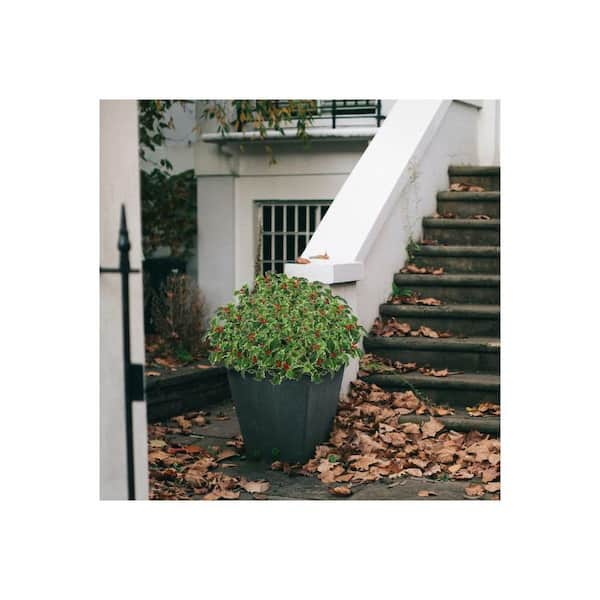 Larksilk 18 in. Artificial Holly Berry Bush (2 Pack)