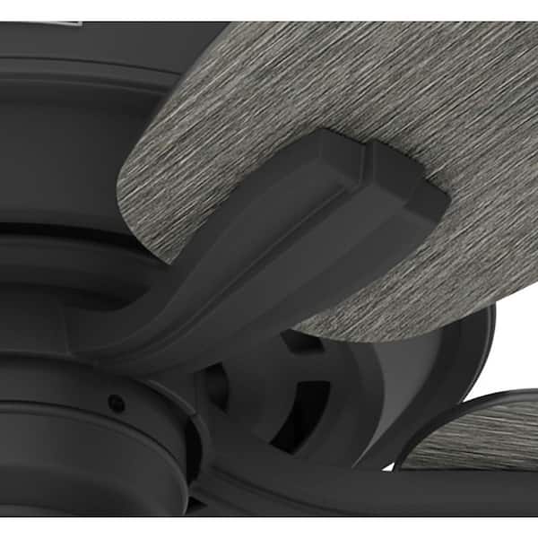 Hunter - Dondra 60 in. Indoor Matte Black Ceiling Fan with Light Kit Included