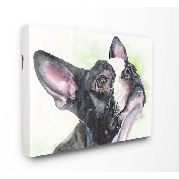 Stupell Industries 36 in. x 48 in. "Boston Terrier Dog Pet" by George Dyachenko Canvas Wall Art