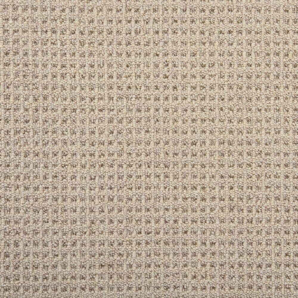 6 in. x 6 in. Multi-Level Loop Carpet Sample - Shenadoah - Color Desert price history on PriceWatchPro