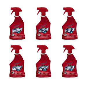 32 oz. Professional Carpet Cleaner and Stain Remover Spray (6-Pack)
