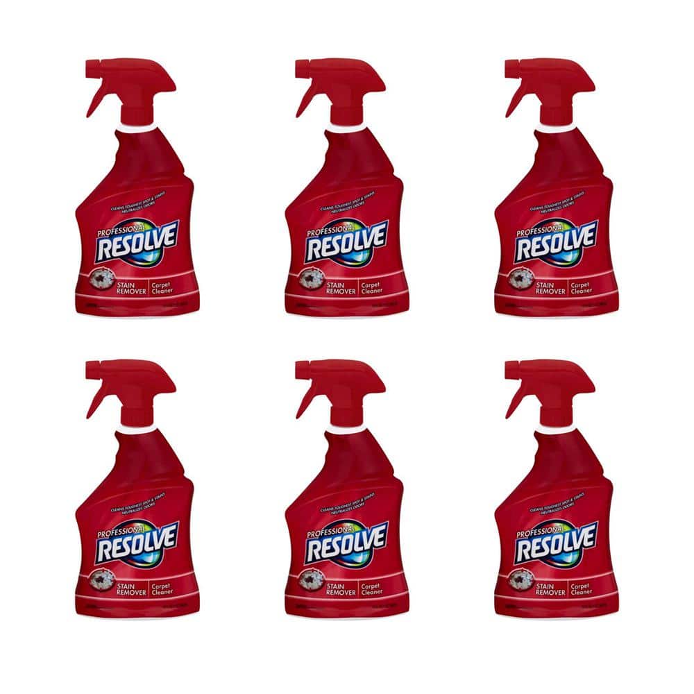 BISSELL PET Spot and Stain-Portable Machine Use 32-fl oz Concentrated Steam  Cleaner Chemical Solution in the Steam Cleaner Chemicals department at