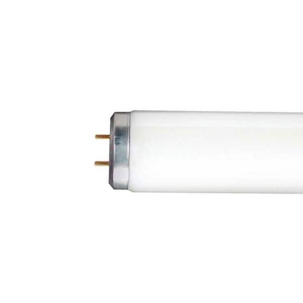 40-Watt Fluorescent 48 in. T12 Plant and Aquarium Linear Tube Soft White Non Dimmable Light Bulb (1-Pack)