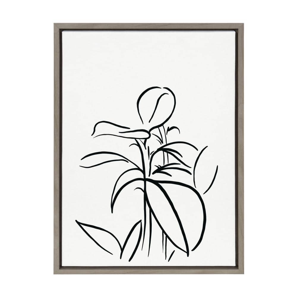 Gray Framed Botanical Sketch Print on Canvas, 18x24
